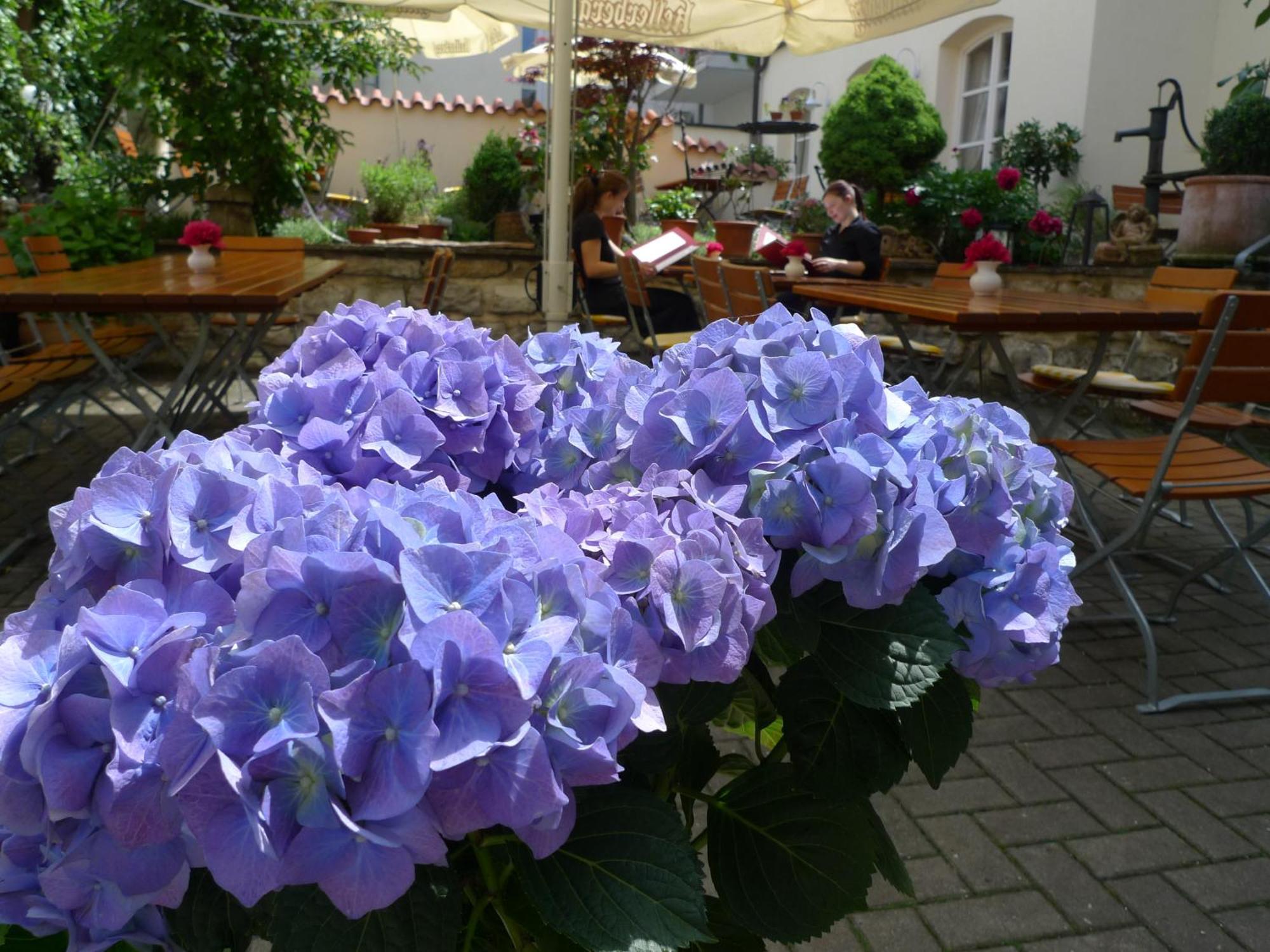 Lauchheim Hotel-Restaurant Roter Ochsen מראה חיצוני תמונה
